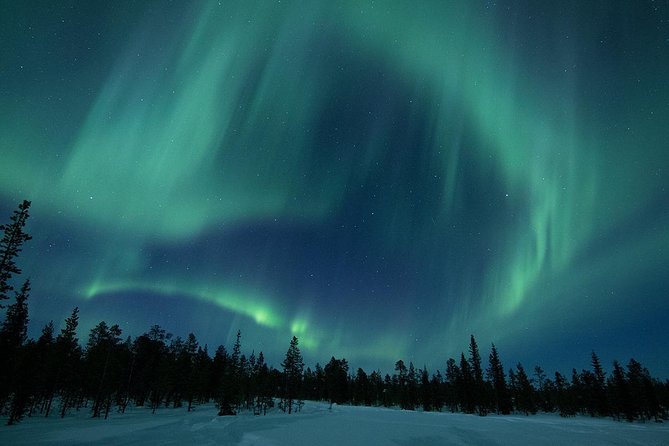 Snowmobile Aurora Expedition with dinner - Key Things I’d Plan Around