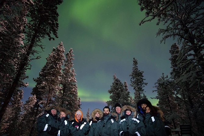 Snowmobile Aurora Expedition with dinner - Driver Swaps and Safety: How the Tour Handles Different Riders