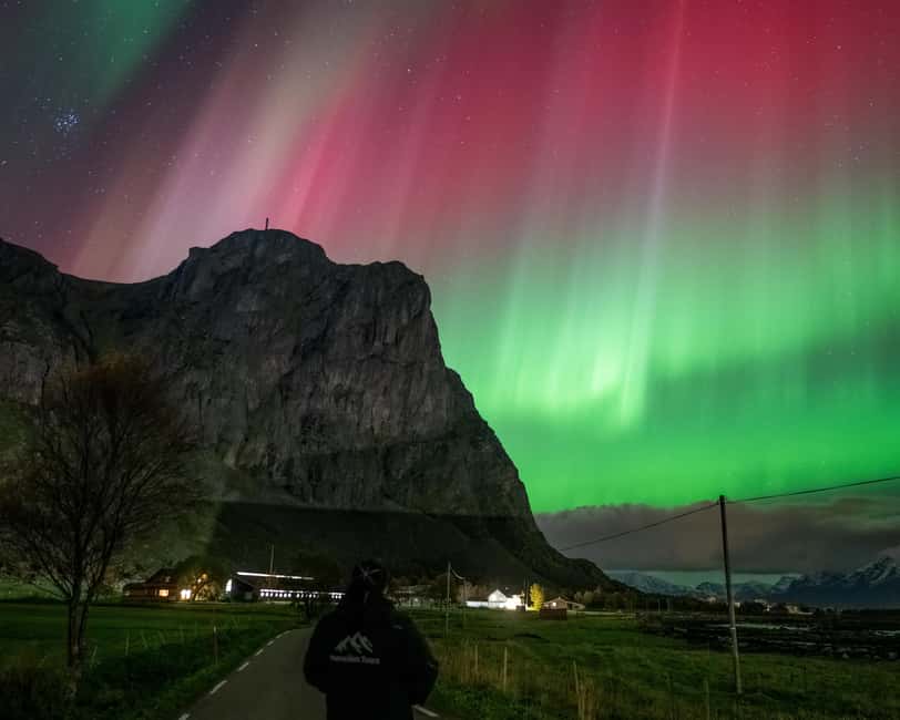 Sortland: Small Group Northern Lights Chase by Car - FAQ