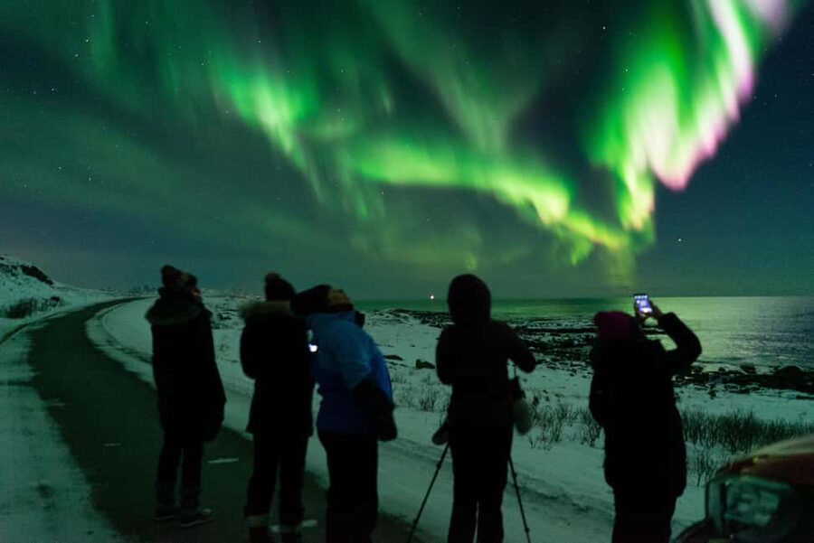 Sortland: Small Group Northern Lights Chase by Car - Your Guide Finds Clear Skies With a Flexible Route