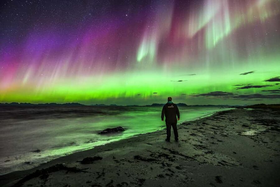 Sortland: Small Group Northern Lights Chase by Car - Stops, Viewing, and Photo Help When the Sky Starts Moving