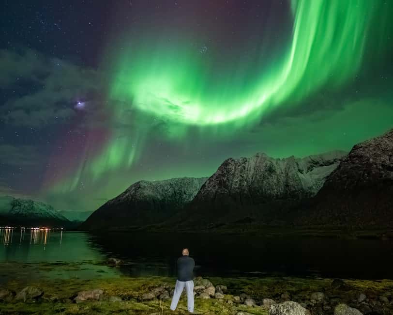 Sortland: Small Group Northern Lights Chase by Car - Price and Value: Is $157 Worth It?