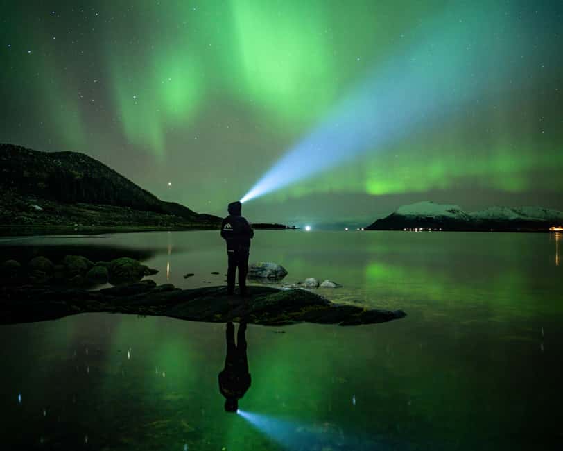 Sortland: Small Group Northern Lights Chase by Car - Who Should Book (and Who Might Skip This One)