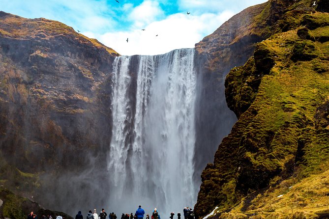 South Coast, Glacier Hike & Northern Lights from Reykjavik - Reynisfjara black sand: basalt columns, crashing Atlantic waves, and real wind