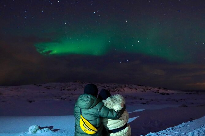 South Iceland Highlights and Northern Lights Combo Full-Day Tour - Price and value: what $185 buys you in real terms