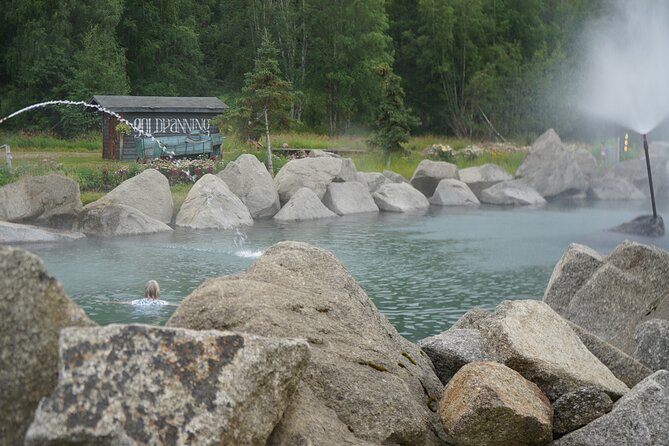 Spectacular Chena Hot Springs Northern Lights Experience - Key points if you’re deciding