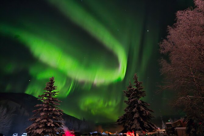 Spectacular Chena Hot Springs Northern Lights Experience - Food and downtime: dinner isn’t included, and waits can happen