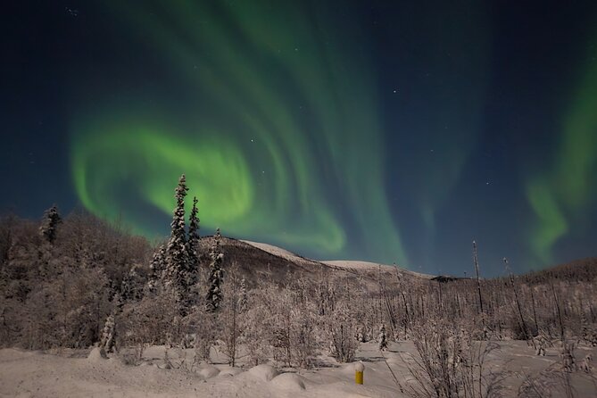 Spectacular Hot Spring Experience with Northern Lights - Pickup, Timing, and Why the Late Start Matters
