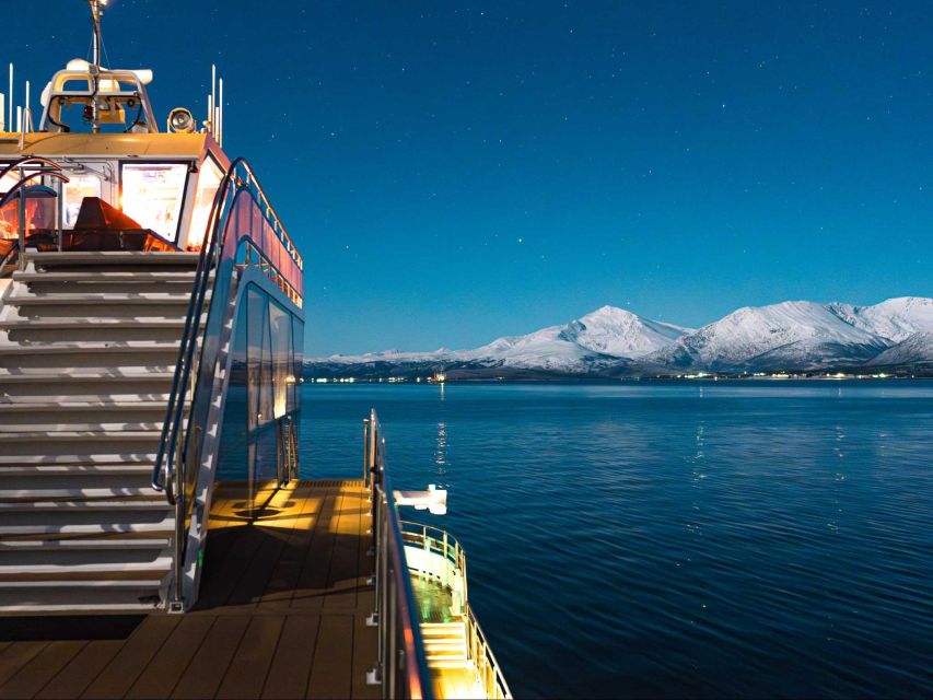 Svolvær: Northern Lights and Full Steam Cruise with Tasting - Chasing the Northern Lights Over Vestfjorden and the Wall of Lofoten