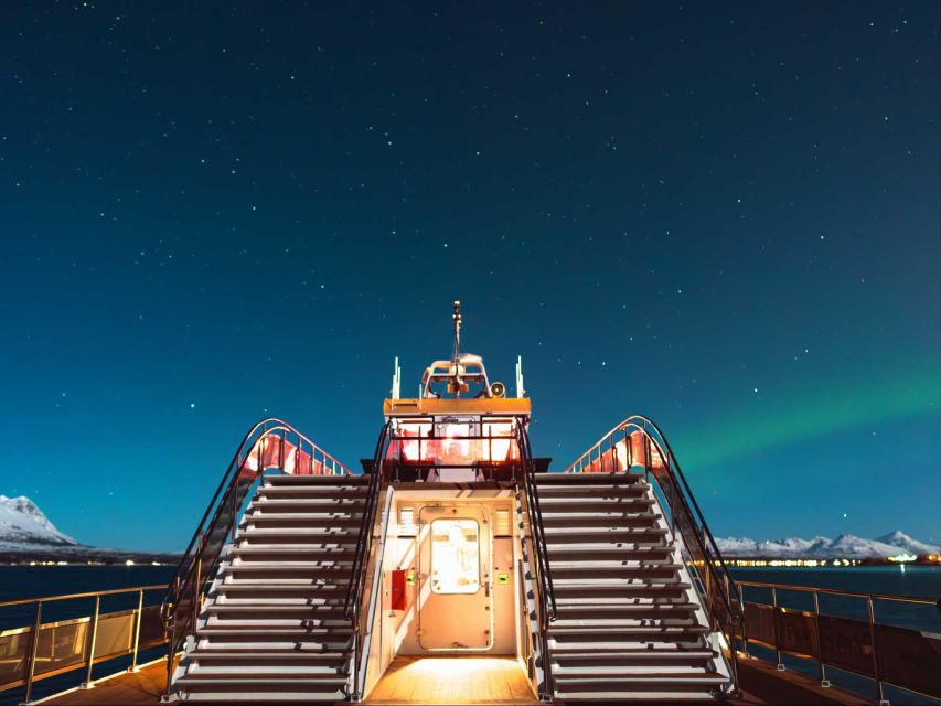 Svolvær: Northern Lights and Full Steam Cruise with Tasting - Who This Cruise Suits Best (and Who Might Want Something Else)