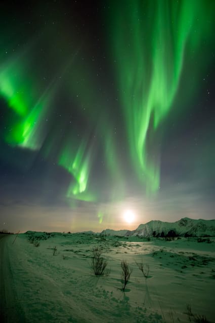 Svolvær: Ultimate Aurora Hunt - Staying warm with hot drinks, and why timing matters