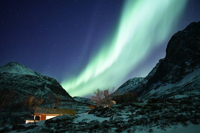 The Aurora Tour - small group, northern lights - Stop at the campfire: marshmallows and real warmth