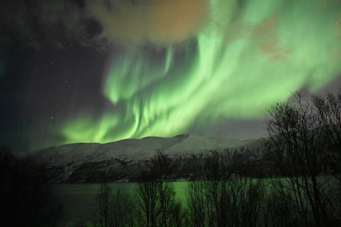 The Aurora Tour - small group, northern lights - Getting there and back: fewer stress points