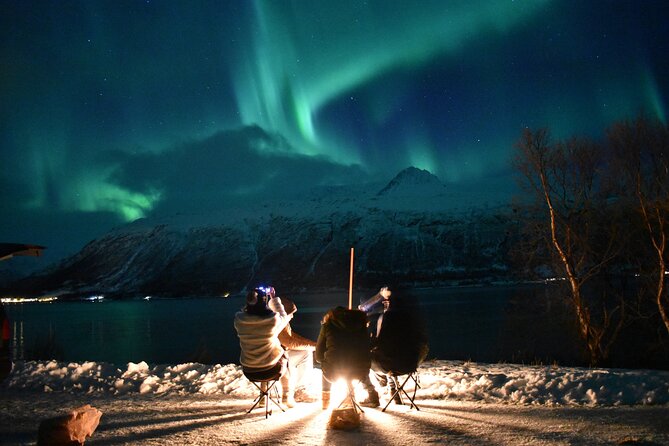 The Aurora Tour - VIP trip for northern lights, aurora borealis - Key highlights you should know before you go
