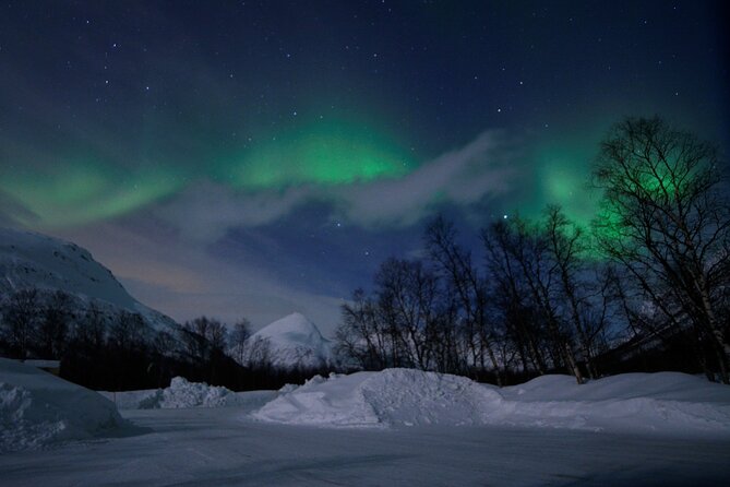 The Aurora Tour - VIP trip for northern lights, aurora borealis - Private VIP-style comfort: pickup, winter gear, and your expectations