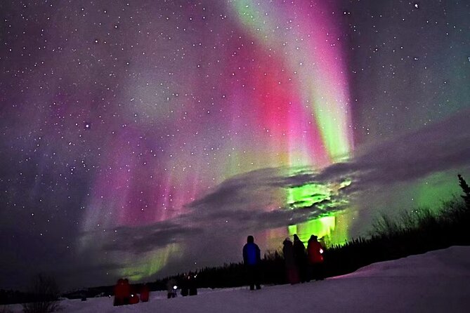 The Best Aurora Tour - Key Things That Make This Aurora Tour Worth Your Time