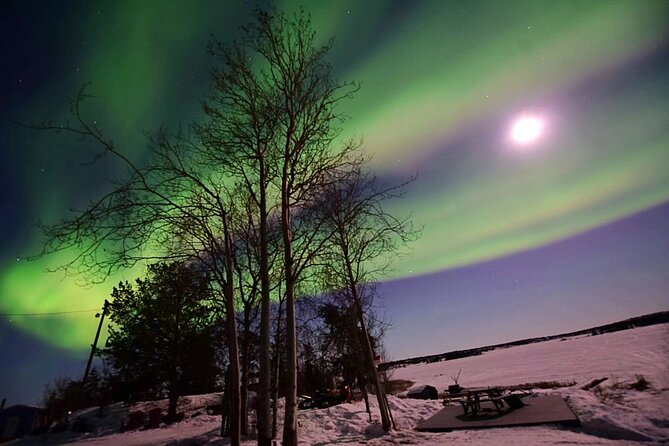 The Best Aurora Tour - Warm Drinks, Snacks, and the Washroom: Small Comforts That Matter