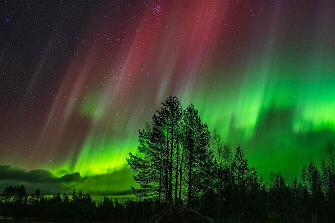 The Ultimate Guaranteed Aurora Hunt - The 5:00 pm Start: What Your Night Looks Like