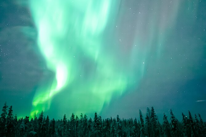 The Ultimate Guaranteed Aurora Hunt - Thermal Overalls, Snow Boots, and Cold-Sky Reality
