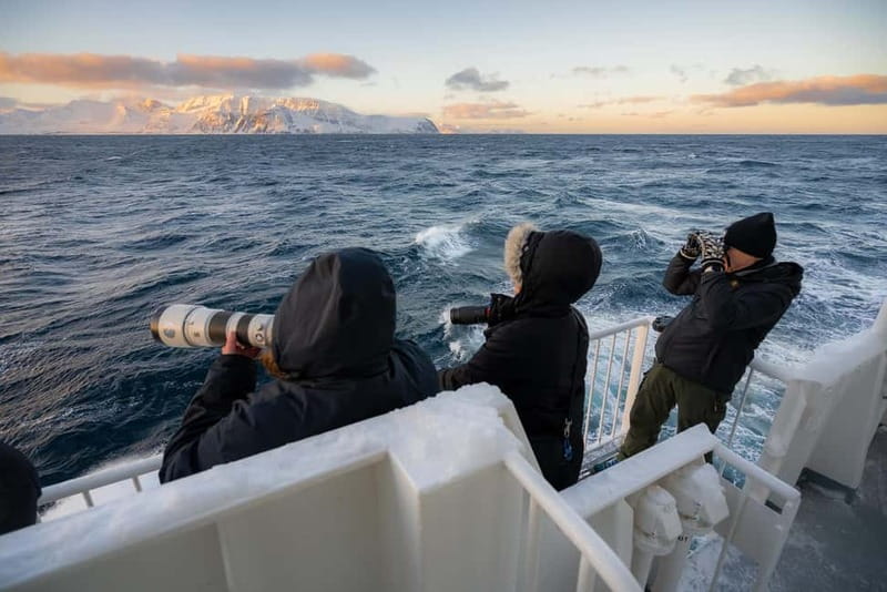Tromsø: 24hr Northern Lights & Whale Watching Cruise - Key highlights worth your attention