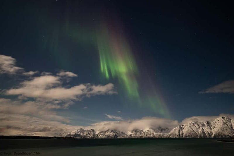 Tromsø: 24hr Northern Lights & Whale Watching Cruise - Dinner at 20:30 and the Northern Lights lecture at 22:00