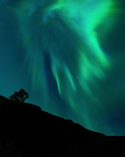 Tromsø: A Sámi Survival Story and Aurora Hunt - Key things that make this Tromsø aurora tour worth your time