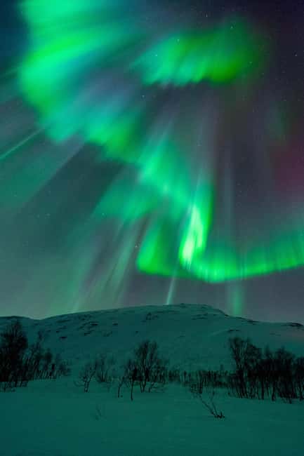 Tromsø: A Sámi Survival Story and Aurora Hunt - Price and value: what $151 buys you in Tromsø