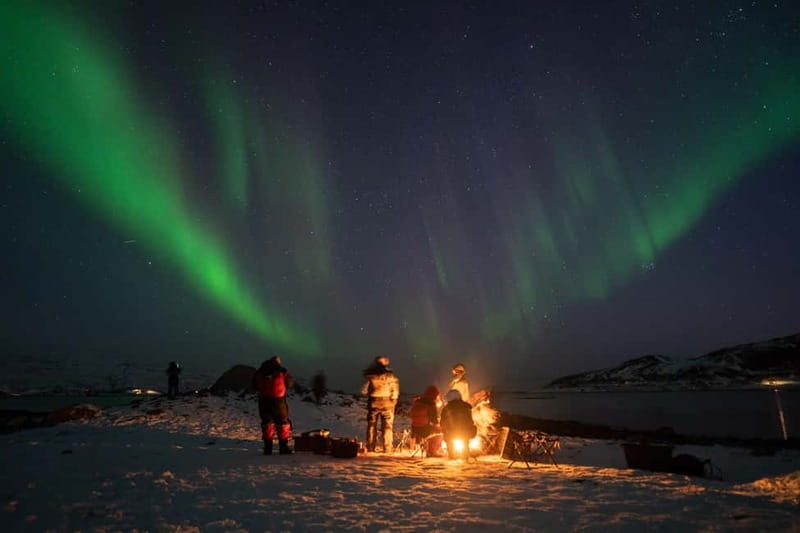 Tromsø: Adult Only Aurora hunt with Citizen Science - Key things to know before you go