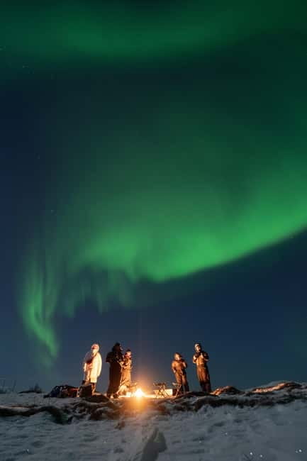 Tromsø: Adult Only Aurora hunt with Citizen Science - Citizen science in the Arctic, with a conservation mindset