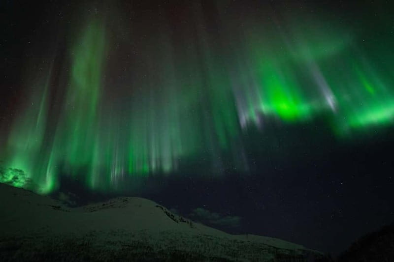 Tromsø: Adult Only Aurora hunt with Citizen Science - Price and value: what $279 really buys you