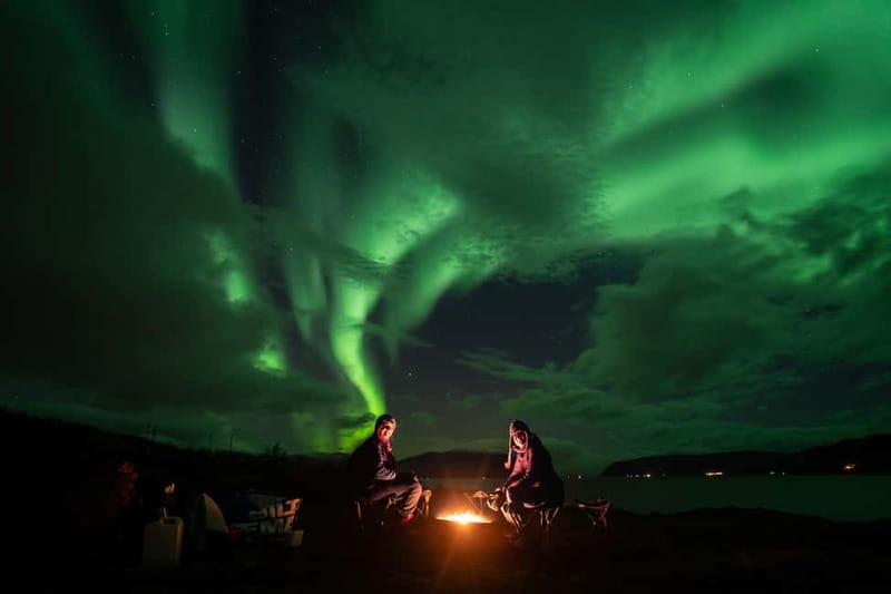 Tromsø: Adult Only Aurora hunt with Citizen Science - Meeting at Scandic Ishavshotel and starting in the right place