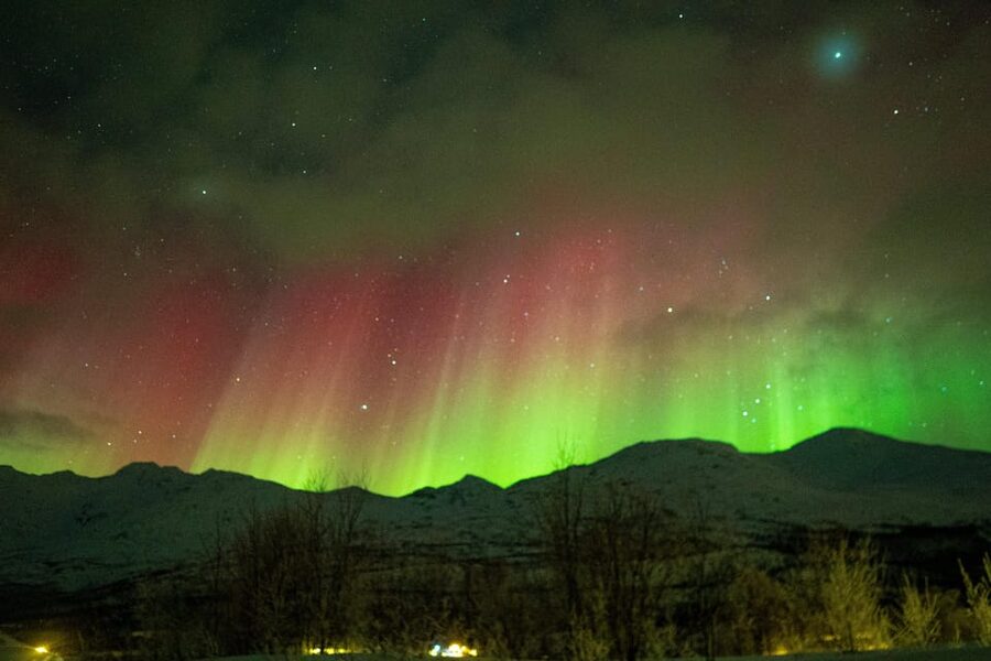 Tromsø Adventurous Northern Lights Small-Group - Who this tour is best for (and who should skip it)