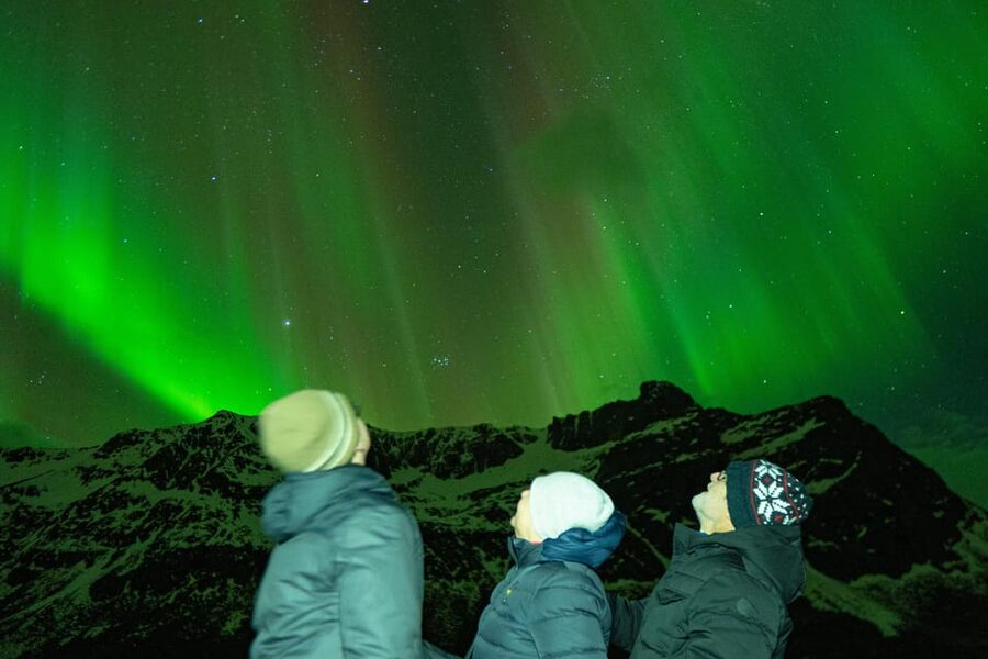 Tromsø Adventurous Northern Lights Small-Group - The minibus chase: how the route adapts to real weather