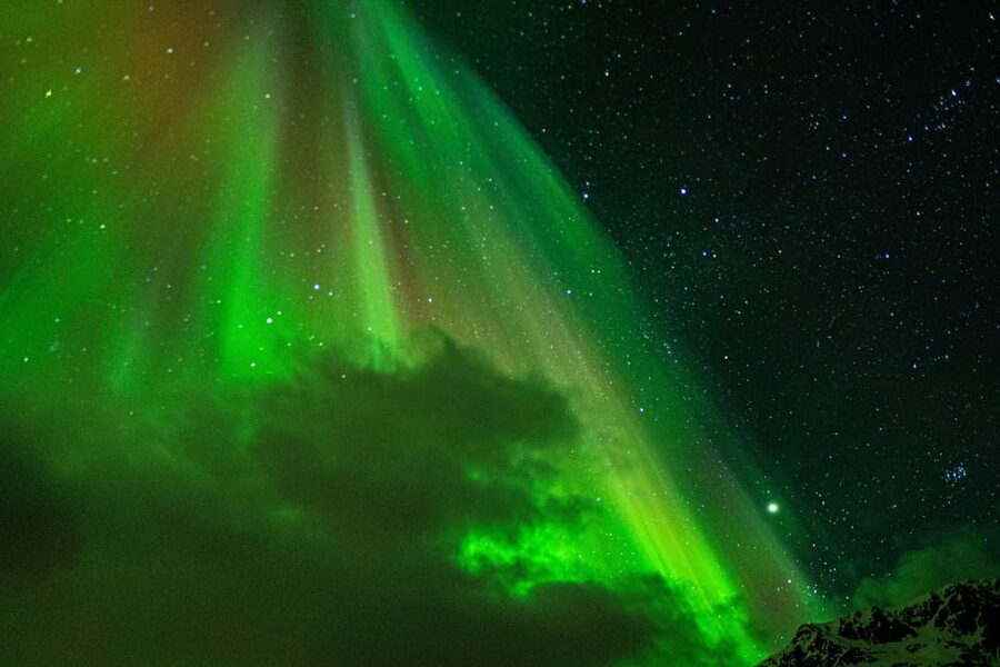 Tromsø Adventurous Northern Lights Small-Group - Stops and safety: where you actually get to see the sky