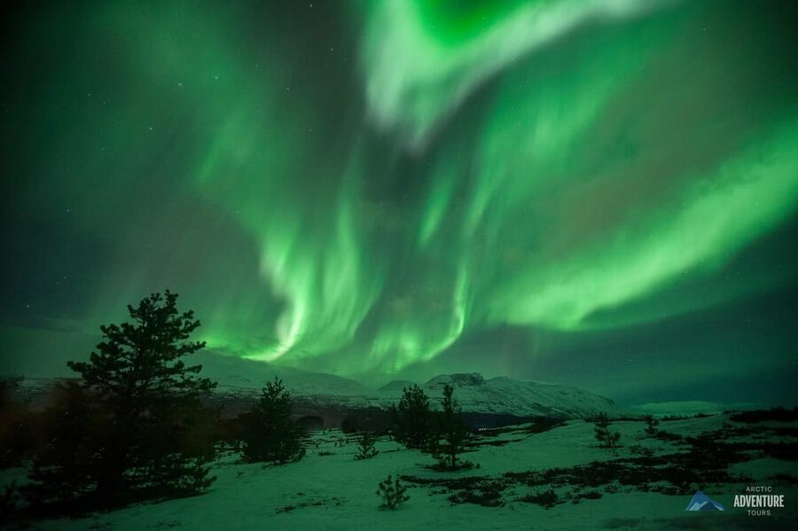 Tromsø: All-Inclusive Northern Lights Hunt - Riding out with warm snacks and a real meal plan