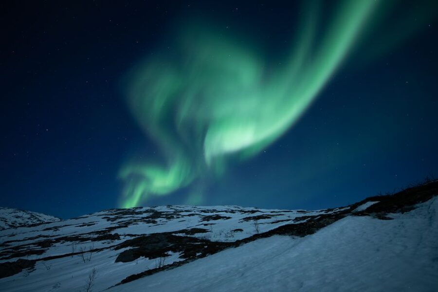 Tromsø: Aurora Borealis, Campfire, Hot Meal, Arctic Tour - Price and Value: What You Get for $251