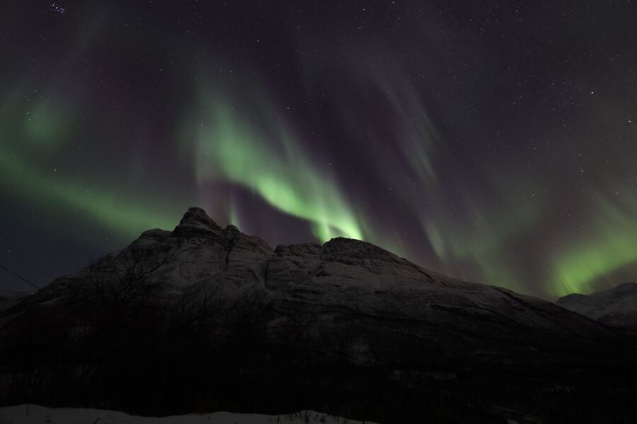Tromsø: Aurora Borealis, Campfire, Hot Meal, Arctic Tour - Campfire Setup: Hot Meal, Storytelling, and That Arctic Calm