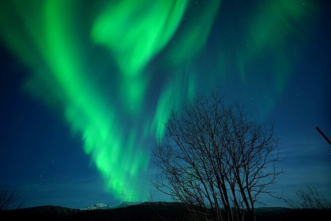Tromso Aurora Chase by Minibus with Thermal Suit, Snack and Photo - Aurora Hunting in Tromsø: Why This Style Works