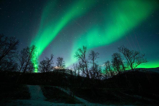 Tromso Aurora Chase by Minibus with Thermal Suit, Snack and Photo - The Route Flexes: Hansnes, Kilpisjarvi, Bardufoss, and Sommarøy