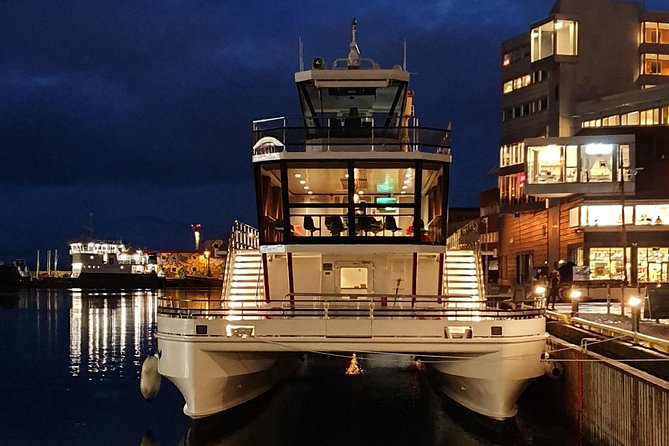 Tromso Aurora Cruise with 3-Course Dinner - The onboard vibe: lectures, photos, music, and pacing