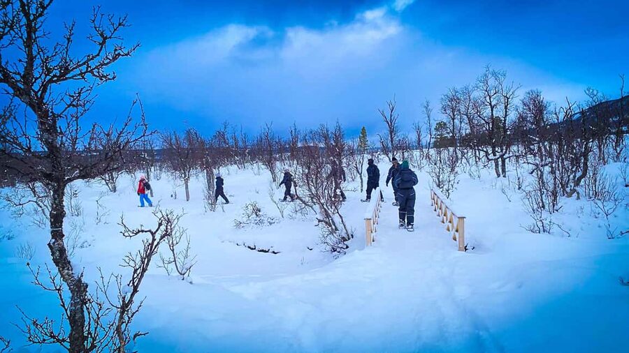 Tromsø: Aurora Crystal Lavvo Overnight Stay with Activities - Price and value at about $430 per person