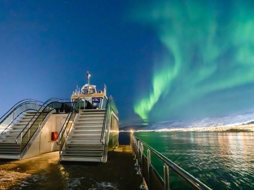 Tromsø: Aurora Dinner Cruise by Hybrid-Electric Catamaran - The arctic 3-course meal: what you’re actually getting