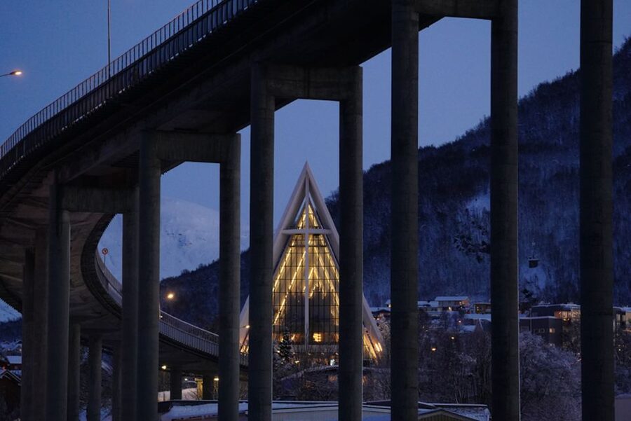 Tromsø: Aurora Dinner Cruise by Hybrid-Electric Catamaran - Who should book this cruise (and who might look elsewhere)