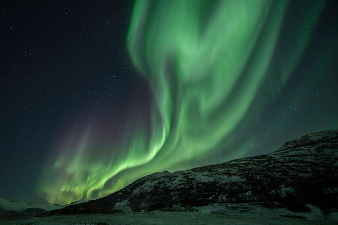 Tromso Aurora Hunt with Bonfire, Soup, Winter Gear & Transfers - The Aurora Chase Plan: How Your Guide Picks the Viewpoint