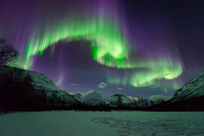 Tromso Aurora Hunt with Bonfire, Soup, Winter Gear & Transfers - Price and Value: Is $226.72 a Good Deal?
