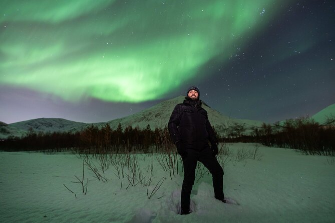 Tromsø: Aurora Magic Northern Lights Tour with Photos - Northern Lights in Tromsø: What Makes This Tour Different