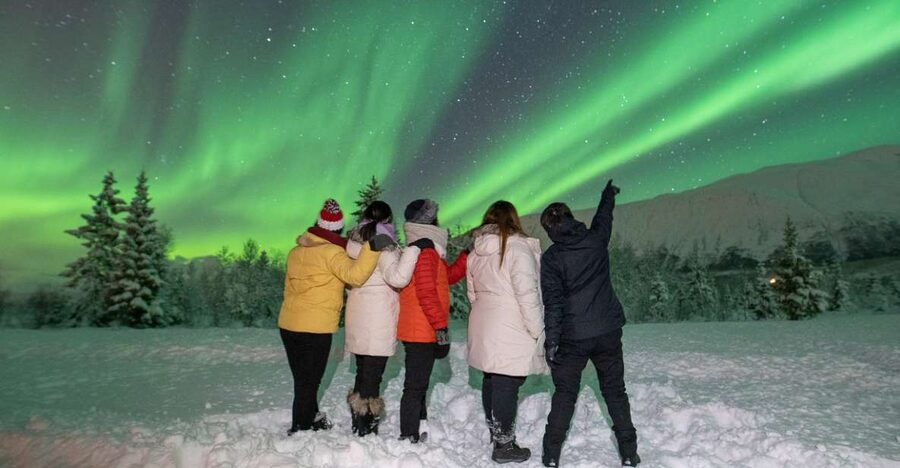 Tromsø: Aurora Safari Chase with Photos - Timing details that affect your night
