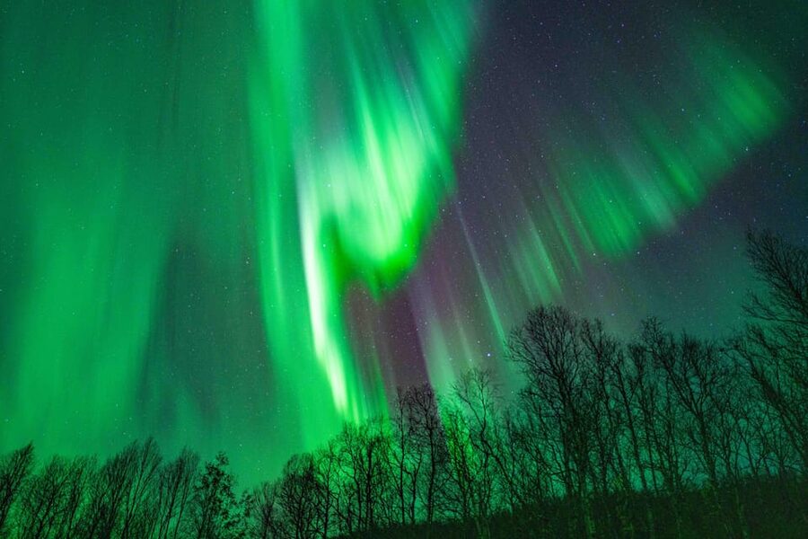 Tromsø: Aurora Tour with Photos, Campfire and Arctic Food - Should You Book This Aurora Tour?