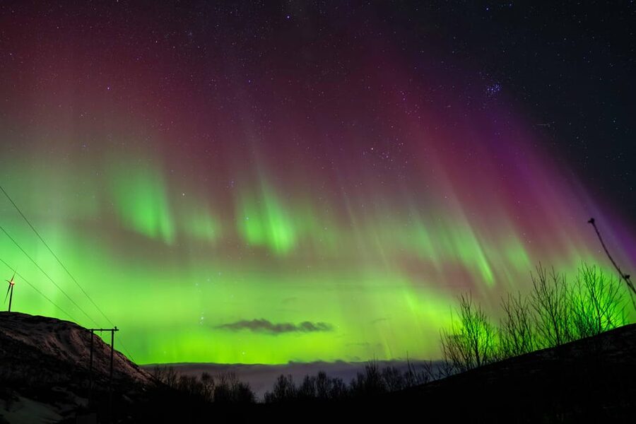 Tromsø: Aurora Tour with Photos, Campfire and Arctic Food - Chasing the Aurora With Weather Flexibility (And What It Means for Your Expectations)