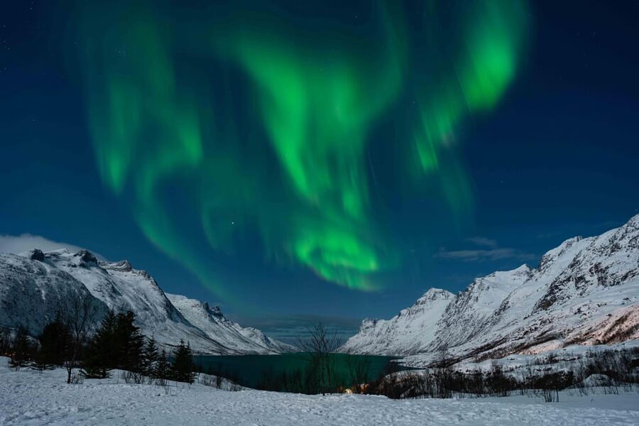 Tromsø: Aurora Tour with Photos, Campfire and Arctic Food - Price and Value: Is $304 Worth It in Tromsø?